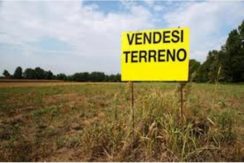 Terreno agricolo Terreno agricolo