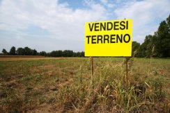 Terreno a Savignano sul Rubicone Terreno a Savignano sul Rubicone