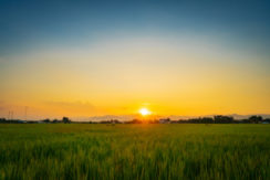 Fondo Agricolo di 10 ettari Fondo Agricolo di 10 ettari