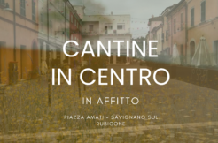 CANTINE IN AFFITTO – CENTRO STORICO SAVIGNANO