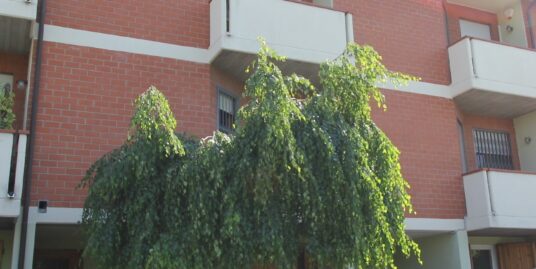 Casa a schiera – 4 camere