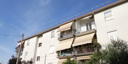 Quadrilocale – zona Cesare