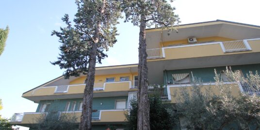 5 locali – Castelvecchio (Savignano)